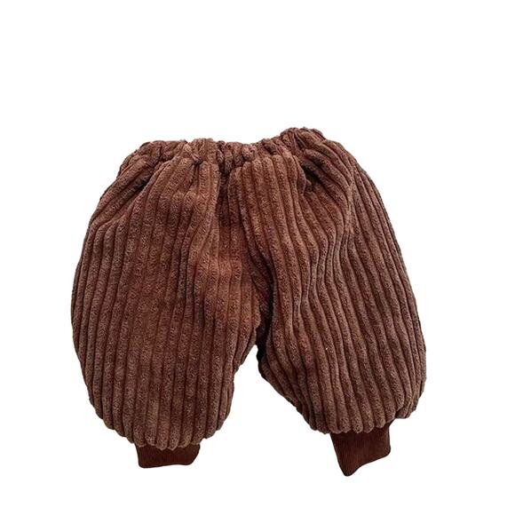 New  thick, warmly lined corduroy pants 3T - Picture 1 of 5